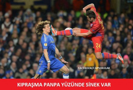 SİNEK